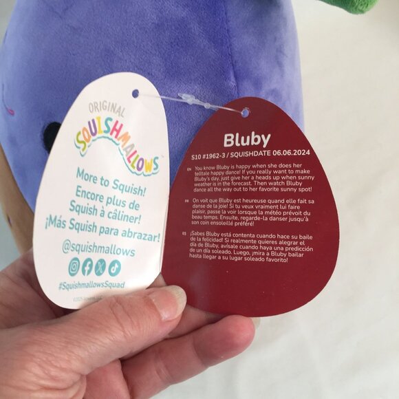 Squishmallows Bluby Chocolate Dipped Blueberry Plush 10" Valentine Hearts NWT - Picture 6 of 8